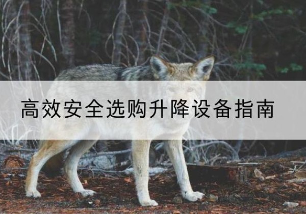 曾都升降货梯厂家推荐-*安全选购升降设备指南
