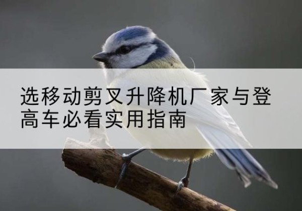 曾都电动升降机厂家-选移动剪叉升降机厂家与登高车必看实用指南